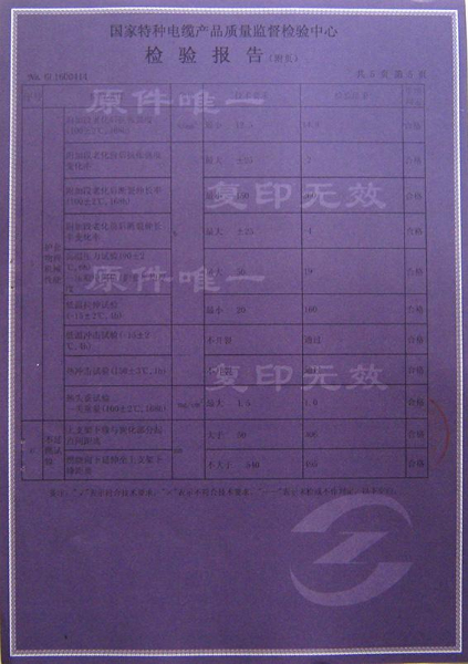 檢驗報告